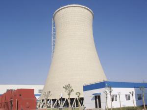 人生就是博中标斯里兰卡15MW生物质发电项目