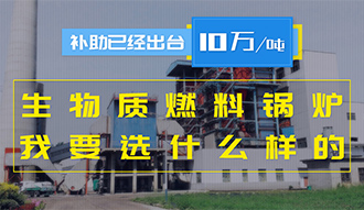 【生物质·津贴】生物质燃料锅炉10万元/吨津贴已经出台，，，，，，我要选什么样的锅炉？？