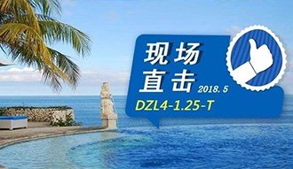 现场直击丨看生物质锅炉在巴厘岛怎样强操作，，，，，，转头客非它不选